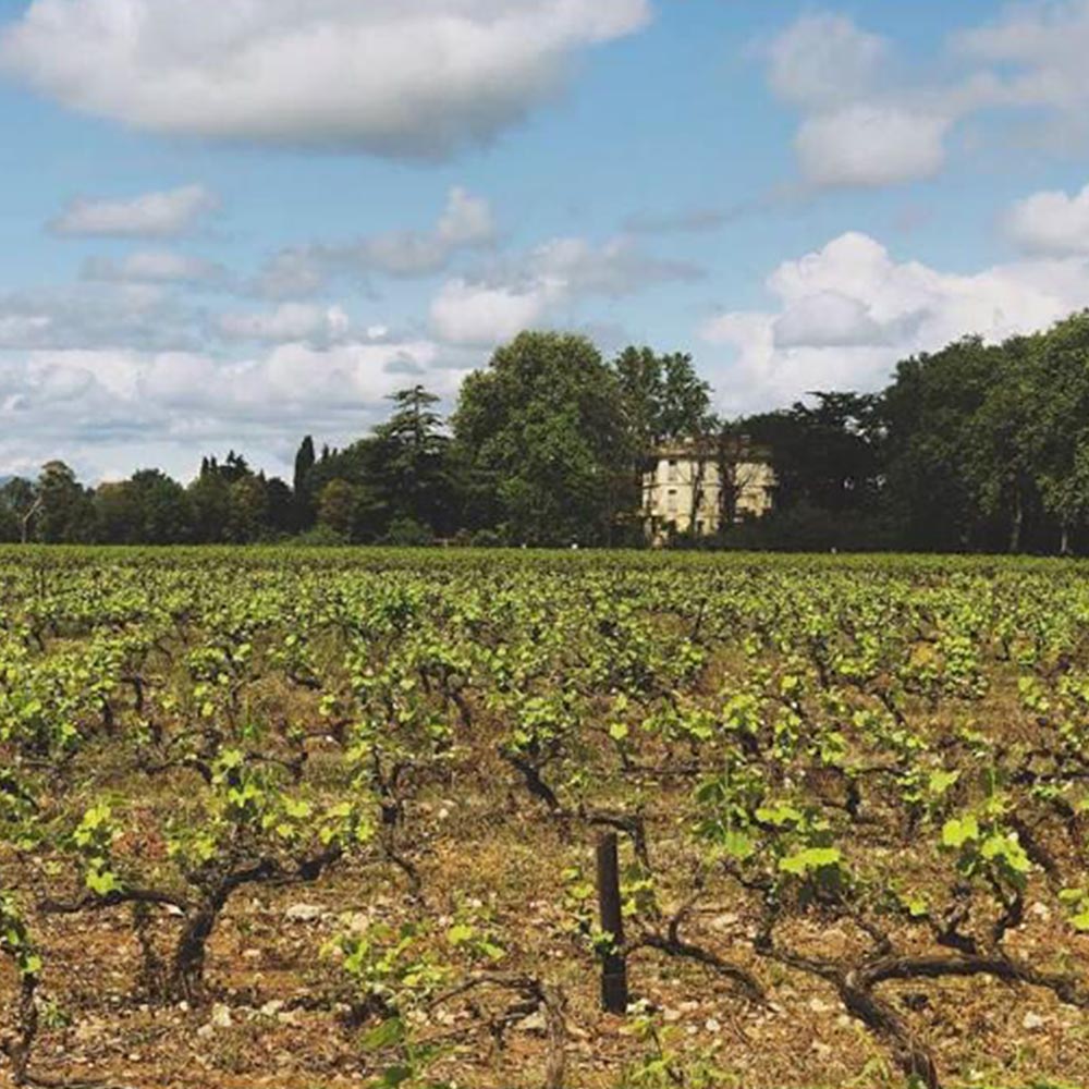 Château Las Collas Rivesaltes 2000